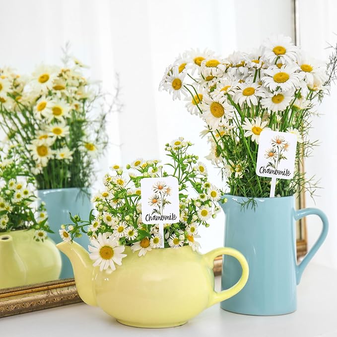 FYSUIMU 20Pcs Acrylic Plant Label Signs 20 Styles Garden Herb Markers Plant Stake Tags White Waterproof Tags with Herb Names for Nursery Indoor Outdoor Garden Decor