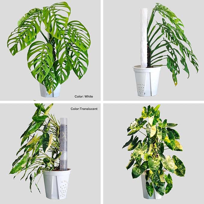 4 Pack Stackable Plastic Moss Poles for Indoor Climbing Plants -Plant Support Stakes for Monstera, Pothos & Philodendron - Indoor Garden Poles for Vertical Growth & Moss Wrapping