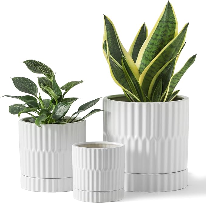 HASENSE Ceramic Plant Pots Set of 3, 8/6/4.6 Inch Cylinder Flower Planters with Drainage Saucers, Vertical Ribbed Modern White for Home Office & Outdoor Plants