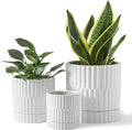 HASENSE Ceramic Plant Pots Set of 3, 8/6/4.6 Inch Cylinder Flower Planters with Drainage Saucers, Vertical Ribbed Modern White for Home Office & Outdoor Plants