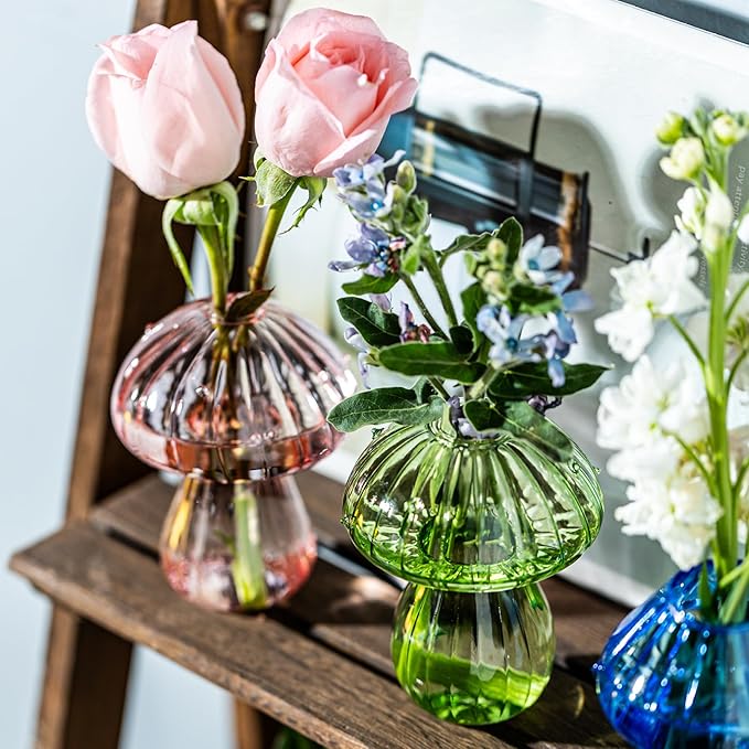 Mushroom Vases, Set of 2 Colored Plant Propagation Station, Mushroom Propagation Vase, Mini Terrarium for Plants, Cute Glass Hydroponic Vase for Flowers, Gifts for Women, Plant Lover (2)