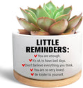 Office Desk Shelf Decor Inspirational Gifts for Coworker, Funny Succulent Plant Pot, Ceramic Flower Planter, Positive Gifts for Coworkers Employee Friends Office Accessorie(Plants Not Included)