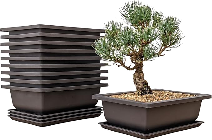 Bonsai Training Pots Humidity Trays - Built in Mesh 8-Inch Large Planters + Made from Durable Shatter Proof Poly-Resin, 9 Pack Pot Set