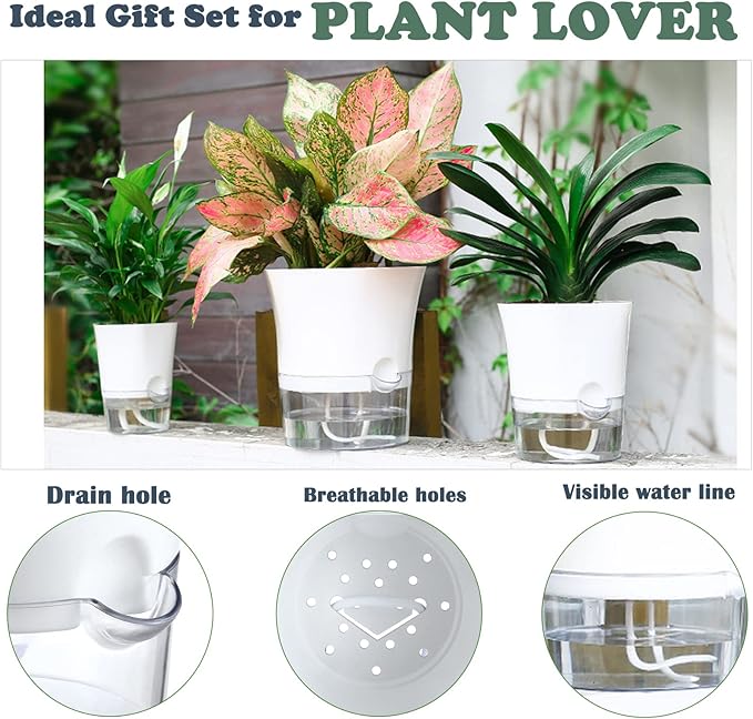 10-Pack 6" Clear Self Watering Pots for Indoor Plants Large Hexagon Self-Watering Planters Orchid Pots Plastic Wick Flower Plant Pots for African Violet, Spider, Herbs, Home Decor, White and Clear