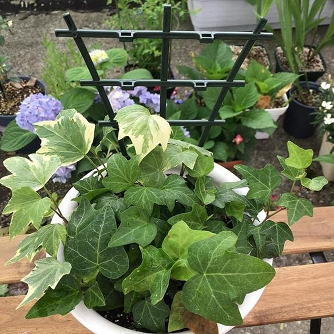 4 Pack Plant Stakes for Indoor Plants, 10 Inch Sturdy Small Heavy Duty Small Plant Trellis,Plastic Stackable Rustproof Indoor Trellis for Vine Flower Houseplant Rose Ivy Monstera Hoya