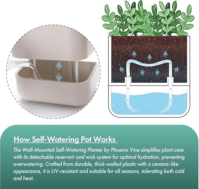 Phoenix Vine 6.5 Inch Wall Mounted Self-Watering Planter Pot for Indoor Houseplants and Herbs | Hanging Planter for Window Sills, Bathroom Walls, Home & Office Décor, Oatmeal, Set of 2, 01-C-G-2