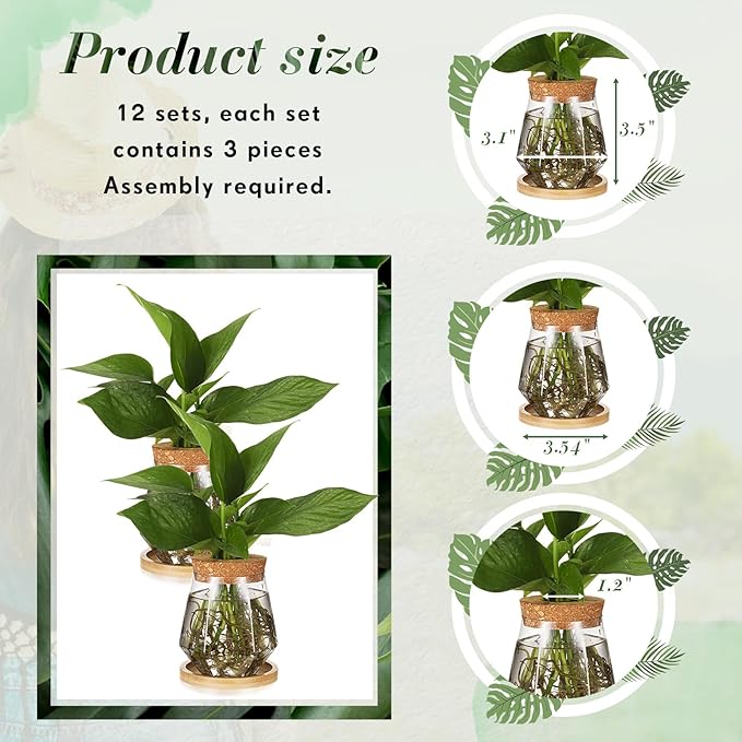 Baderke 12 Packs Propagation Vases for Plants Plastic Plant Propagation with Hole Lid and Bamboo Stand Growing in Water Hydroponic Home Office Desktop Vase Decoration (Cup Style)