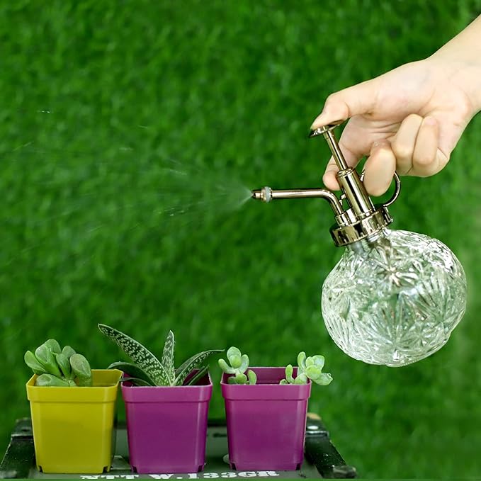 Hniuyun Glass Plant Mister Spray Bottle, 6.5inch Tall Vintage Round Spritzer with Bronze Plastic Top Pump for Watering Your Garden (Clear)