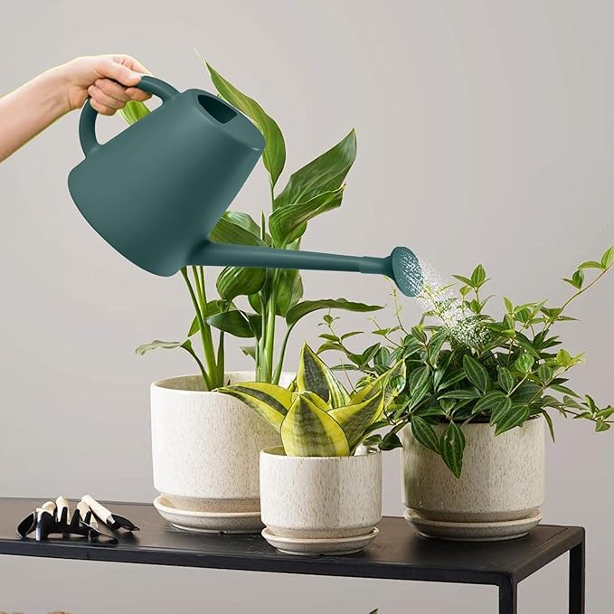 Indoor and Outdoor Watering Can - Long Spout -1/2 Gallon (64oz) - Blackish Green