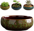 Oncpcare Lotus Bowl Planter – Glazed Ceramic Indoor Plant Bowl Lotus Pot for Lotus Seeds, Bonsai, Succulents | Shallow Hydroponic Decorative Oriental Flower Bowl (Green)