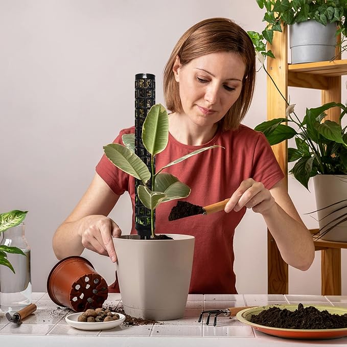 LangRay Moss Pole for Climbing Plants Monstera, Indoor Plant Supports, Plastic Moss Stick, Plant Stake for Garden, Extension Aid Climbing Rob (Black, 2pcs 10inch)