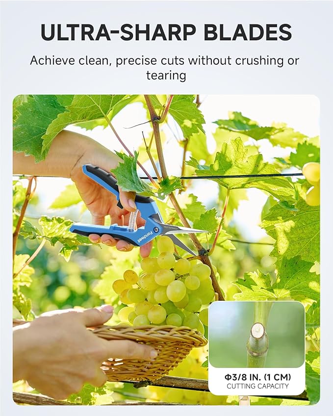 Fondwell 6.5" Pruning Shears Trimming Scissors: 2 Pack Straight & Curved Garden Snips with Micro Tip - Premium Plant Clippers for Precision Cutting
