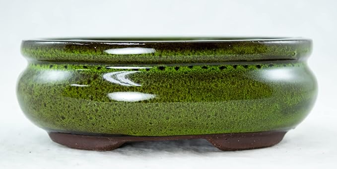 6 inch Oval Moss Green Glazed Bonsai / Succulent Pot + Soil + Tray + Rock + Mesh Kit
