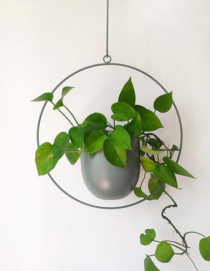 RISEON Boho Green Metal Plant Hanger,Metal Wall and Ceiling Hanging Planter, Modern Planter, Mid Century Flower Pot Plant Holder, Minimalist Planter for Indoor Outdoor Home Decor