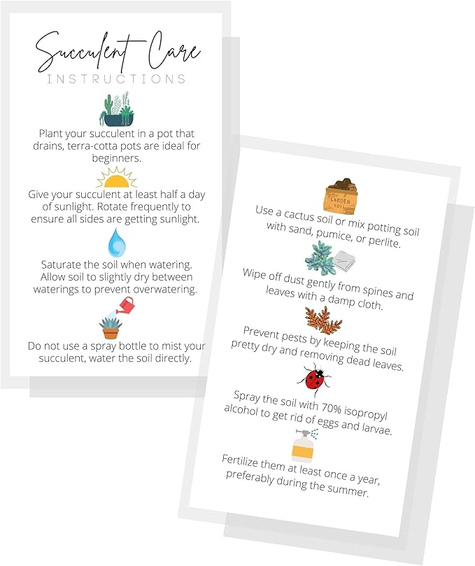 Succulent Care Instruction Cards | 50 Pack | 2x3.5” in Business Card | Succulent Care Cards | Plant Care Guide for House Sitter, Neighbor, Friend | White Card with Colored Icon