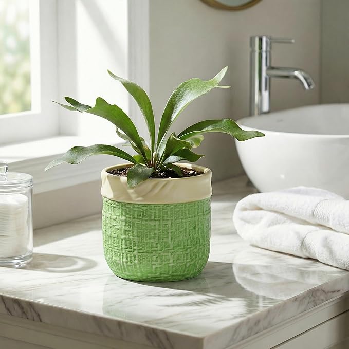 Ceramic Plant Pots - 6 Inch Plant Pot with Drainage Hole, Boho Planters for Indoor Succulent Plants, Decorative Round Unique Flower Pots, Garden Home Office Decor, Housewarming Gifts, Green