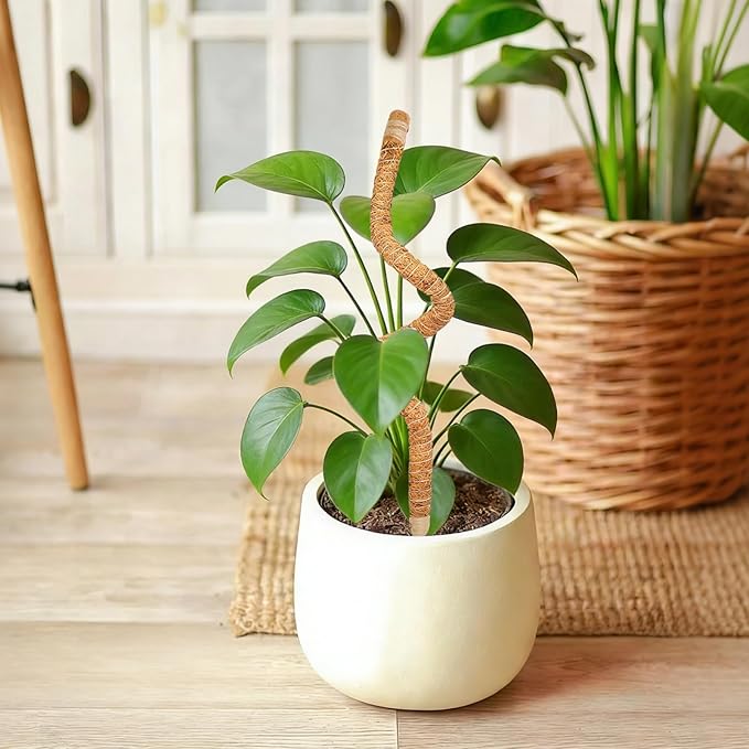 SYOWADA 2Pcs Adjustable Moss Poles for Indoor Plants Upgrade and Reinforcement Bendable 28" Poles Growth Support for Monstera Deliciosa & Tropical Climbers and Most Large Potted Plant