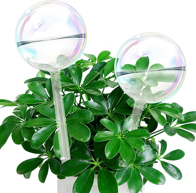 Self Watering Globes, Glass Rainbow Plant Watering Globes, Self Watering Planter Insert for Indoor & Outdoor Potted, Self Watering Planter Insert Spikes Devices for Everyday or Vacation Use, 2 Pack