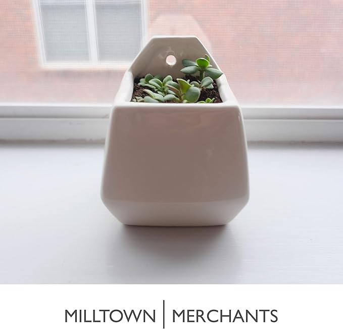 Succulent Wall Planter - Black Ceramic Planter - Succulent Plant Pot - Hanging Vase for Living Wall (1 Pack/Contemporary/White)