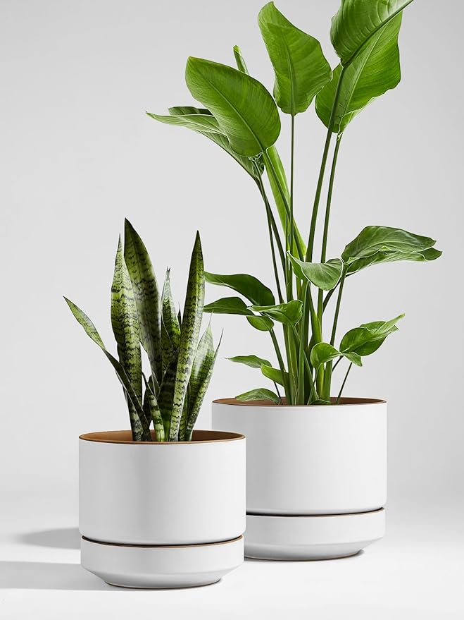 LE TAUCI 14 Inch Large Plant Pot with Saucer, Ceramic Outdoor & Indoor Big Planter with Drainage Hole, Mesh Pad Included, Matte Glazed Outside, Modern for Home and Patio, Alpine White & Ochre