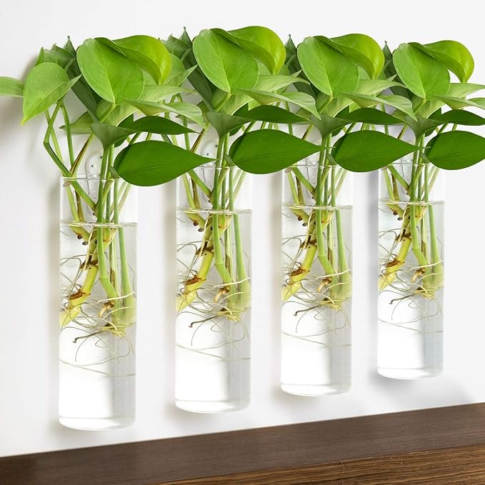 Vumdua 4 Pack Glass Planters, Clear, 5.9 in H x 1.85 in D, Suitable for Most Water Plants, Perfect for DIY Propagation Station, Easy to Install, Elegant and Functional