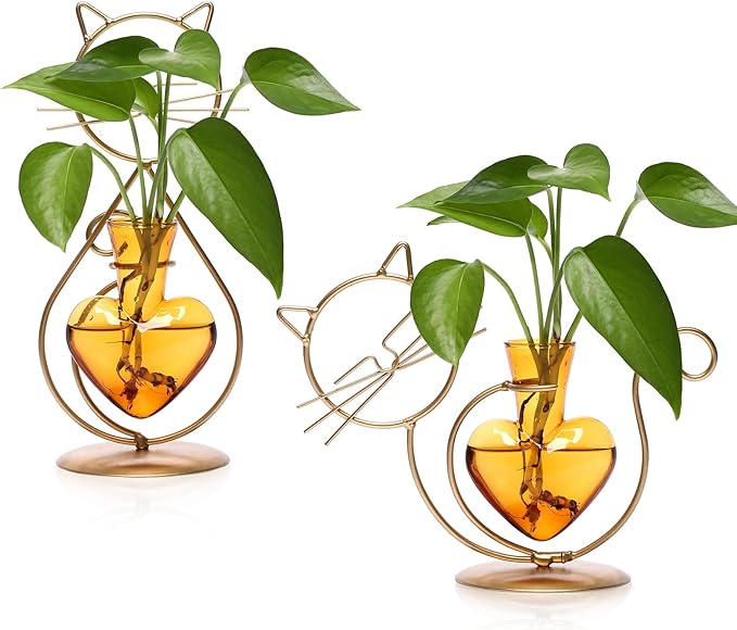 Plant Terrarium Plants Propagation Station Cat Lover Gifts for Women Home Office Decor Cat Desk Accessories