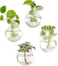 Kingbuy Wall Hanging Glass Planter Propagation Station - 4 Pack Oblate Globe Wall-Mounted Vases for Indoor Hydroponic Air Plants Bathroom Living Room Office Decor Gift for Women, Mom, Plants Lovers