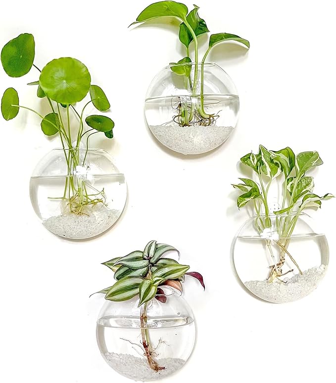 Kingbuy Wall Hanging Glass Planter Propagation Station - 4 Pack Oblate Globe Wall-Mounted Vases for Indoor Hydroponic Air Plants Bathroom Living Room Office Decor Gift for Women, Mom, Plants Lovers