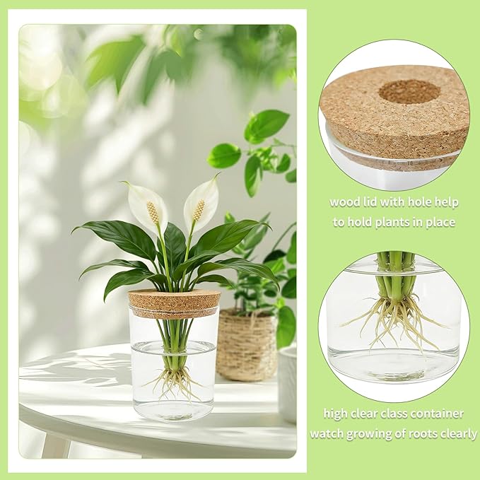 Glass Propagation Station for Plants Set of 4,Desktop Vases for Herb,Plant Cuttings,Planter Jars for Home,Propagation Flower Vases for Living Room,Bedroom,Home Office Decoration,Plant Lover Present