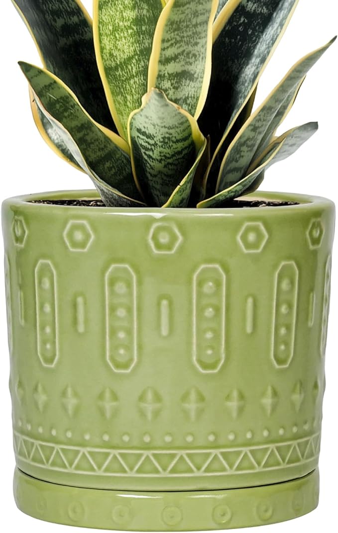 Eightpot Ceramic Pot for Plants - 6 Inch Indoor Planter with Drainage Hole and Saucer, Round Decorative Flower Pots Outdoor, Boho Succulent Planter, Garden Home Decor, Gifts for Plant Lover, Green