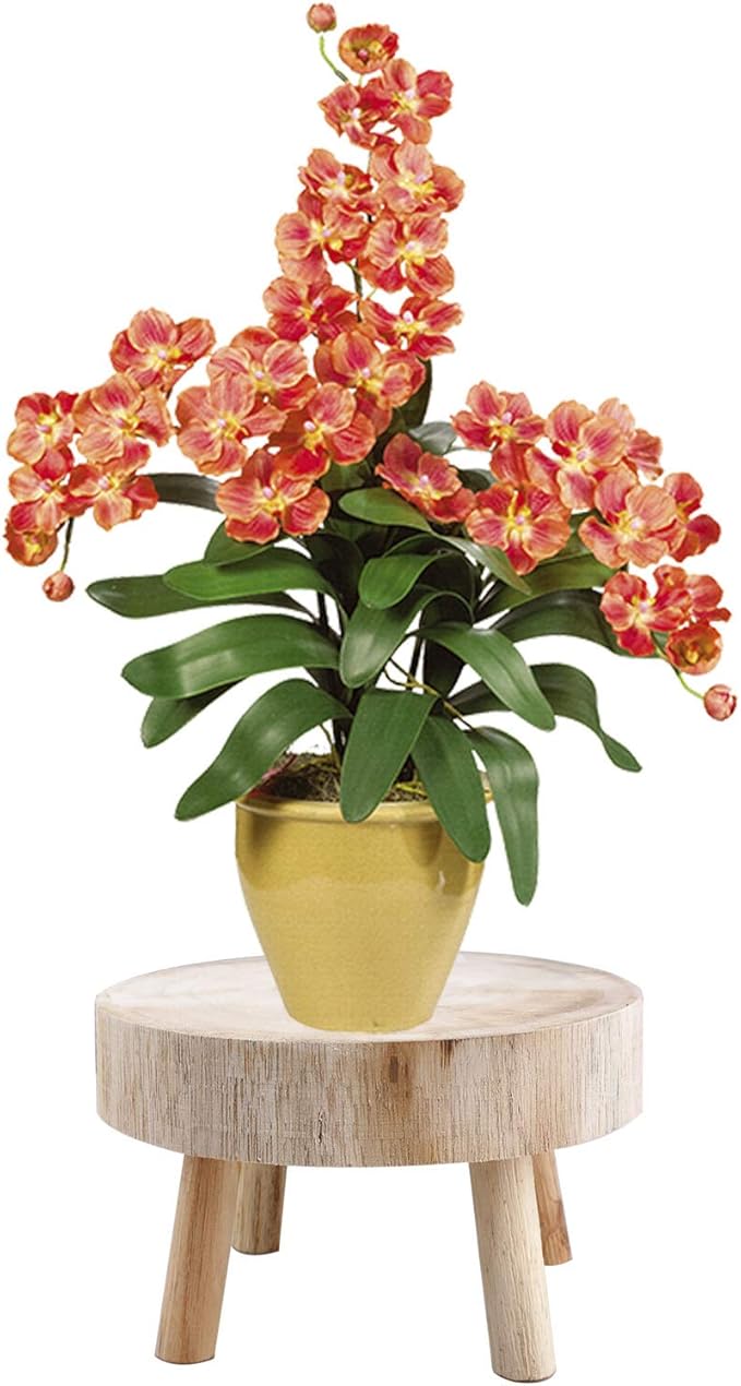 UNIE Mini Wooden Stool Round Garden Flower Display Stand Decorative Short Stool for Indoor Outdoor Office Dining Room, Natural Wood, Medium, (200716LY03-5-6767-1046505841)