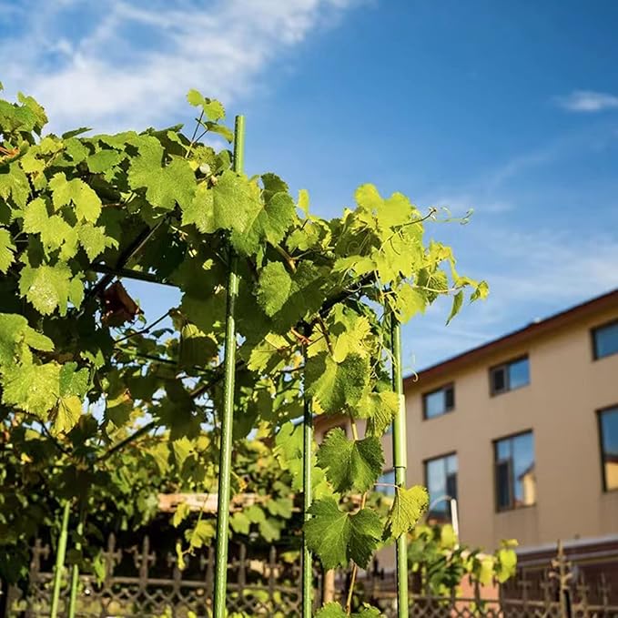 NANOPRETTY 8 FT Garden Stakes for Outdoor Plant Support, 0.78 inch Diameter Plant Stake Sticks Metal Poles for Pole Beans Cucumber Tree Climbing Plants Gardening Supplies 10 Pack