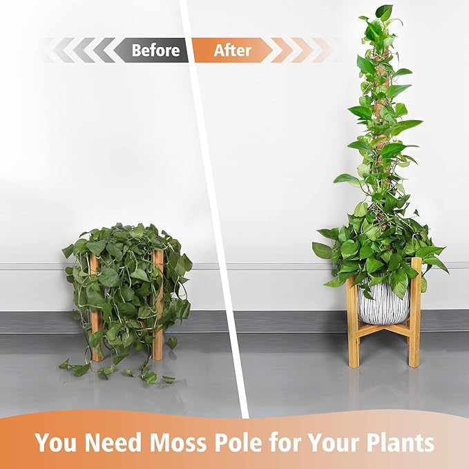 JJGoo Moss Pole for Plants Monstera,【4 Pack】 23.6 inch Plant Support Pole, Extendable Coir Totem Pole for Potted Plants Pothos,Train Indoor Climbing Plants to Grow Upwards - Extends to 74.6 Inches