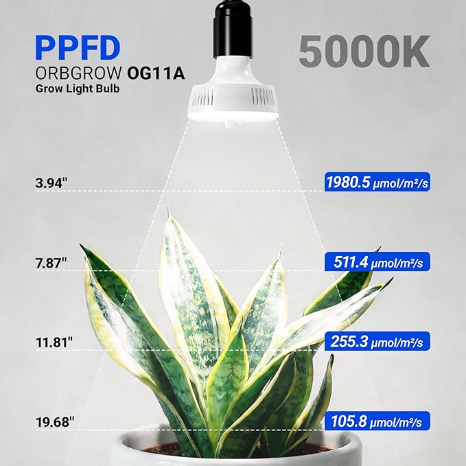 Barrina Orbgrow OG11A2 Clip On Grow Lights for Indoor Plants, Integrated Stepless Dimming & Timing, 5000K 22W(2 x 11W, 200 Watt Equiv), Full Spectrum 2-Gooseneck with E26 Plant Light Bulbs