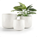 Ceramic Pots for Plants Set of 3 Sizes - 6, 5, 4 Inch Diameter Plant Pots with Drainage Holes - Ceramic Planters for Indoor Plants - Decorative Flower Pot - Plant Pot with Drainage - Indoor Planter