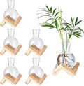 Propagation Stations, Propagation vases with Wooden Stand, Small Tabletop Glass Bulb Vases for Hydroponics Plant Propagation Station Home Office Decoration, Gift for Women Plant Lovers (6)