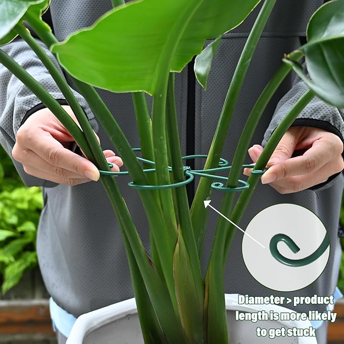 Yohsnor Monstera Plant Stem Support - 5 Pack 6.5"x6.5" Green Metal Stem Stabilizers, Adjustable Ring Clamps for Indoor Plants, Fishbone Cactus, Turtle Shell Bamboo & Climbing Vines