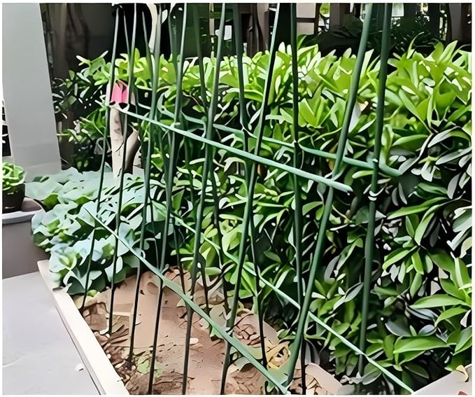 3 Feet Steel Plant Stakes, Garden Plant Stakes 36 Inch,25 Pack Tomato Stakes for Growing Climbing Plants, Potted Plants, Tomatoes, Trees, Cucumber, Beans, Fences Poles