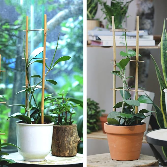 Cambaverd Bamboo Trellis, 16in Ladder-Shaped Trellis for Potted Plants, 3 Pack for Climbing Plants Indoor