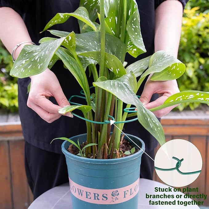 Yohsnor 5PCS Monstera Plant Stem Support 7.3*6.25IN Adjustable Holder for Indoor Plants, Durable Metal Structure with Gentle Clips, Perfect for Fishbone Cactus & Climbing Plants, Ideal Gardening Gift