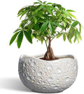 10 Inch Planter - Ceramic Pots for Plants with Drainage Hole and Plug, Modern Planters for Indoor Outdoor Plants, Round Unique Flower Pot, Decorative Planter, House Decor, Home Gifts, Grey