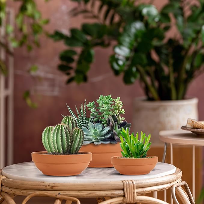 Laerjin Terra Cotta Pots for Plants with Drainage Hole, 2 Pack Large Round Clay Flower Pots, 8.66" Clay Ceramic Pottery Planter Cactus Flower Pots