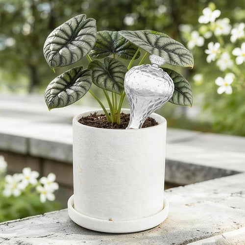 12 oz Plant Watering Globes, Clear Glass Self Watering Bulbs Top Fill with Terracotta Spikes Stake, Self Watering Planter Insert Vacation Automatic Plant Waterer Device for Indoor & Outdoor