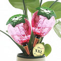 Extra Large Plant Watering Globes for Plants - 19oz Plant Watering Devices, Vacation Self Watering Globes with Slow Release, Indoor Plant Watering Bulbs, Plastic, 2-Pack(2 Strawberries)