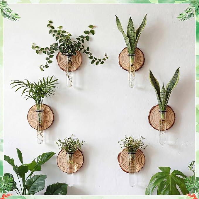 Chumia 6 Pcs Plant Propagation Stations Wall Hanging Planter Glass Plant Propagation Station, Natural Wood Slices Stand for Home Office Decoration