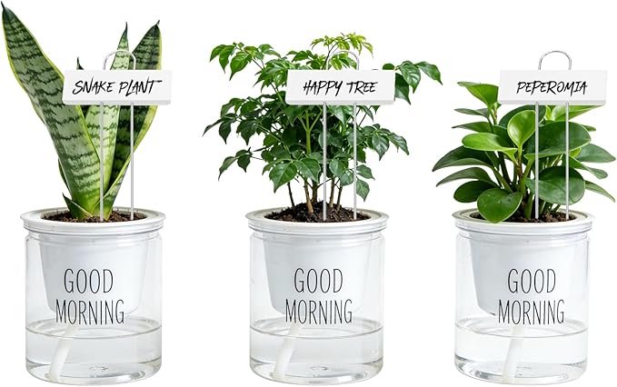 Foraineam 30 Pack Metal Plant Labels Plant Tags Weatherproof Planting Seedling Stake Signs Nursery Tags Large Iron Garden Markers
