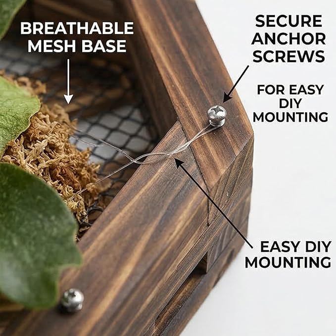 Staghorn Fern Mounting Kit - Wood Wall Planter for Orchids,Herbs & Indoor Plants | Hanging Plant Holder,Basket & Stand for Wall Decor(10.43inch)