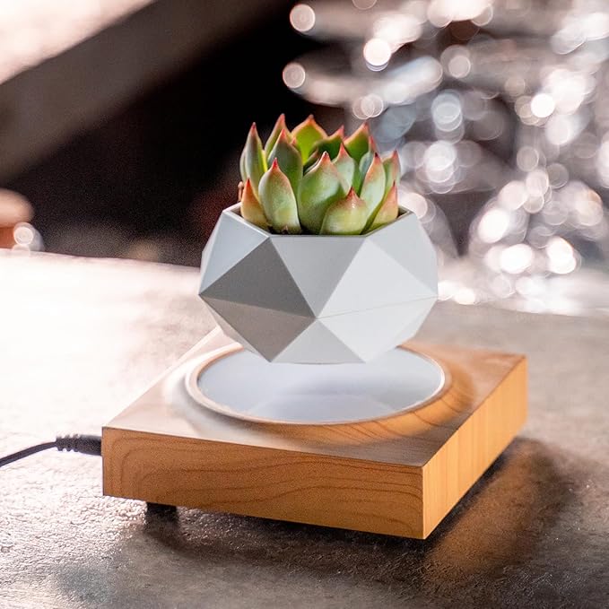 HCNT Levitation Air Bonsai Pot, Magnetic Levitating Mini Rotating Flower Pot Planters Suspension Floating Succulents Pot Sky-Garden Plant Potted for Home, Office