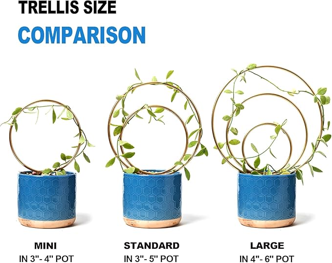 YOHSNOR Hoya Trellis for Indoor Plants - Set of 3 Stylish Metal Plant Supports for Climbing Houseplants - Durable Design for Small Potted Plants with Increased Height Support