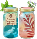 Modern Sprout Mason Garden Jar - Self-Watering Hydroponics Growing System Kit w/Organic Herb Seeds - Sprouting Jar Planter for Indoor Herb Garden - Seed Starter Kit - Decor & Gifting - Basil+Rosemary